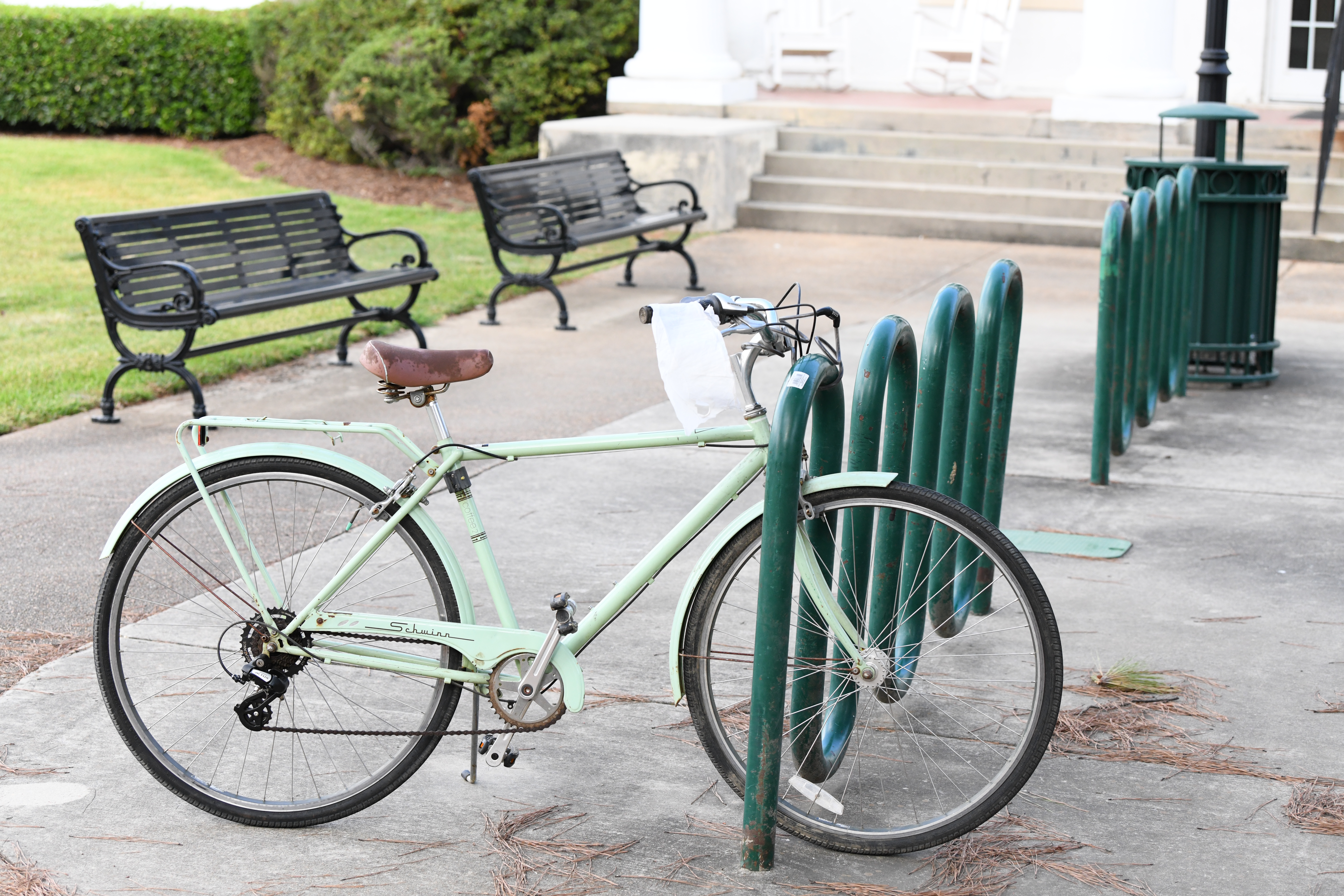 Campus Life Photography - Vibrant campus activities and student life