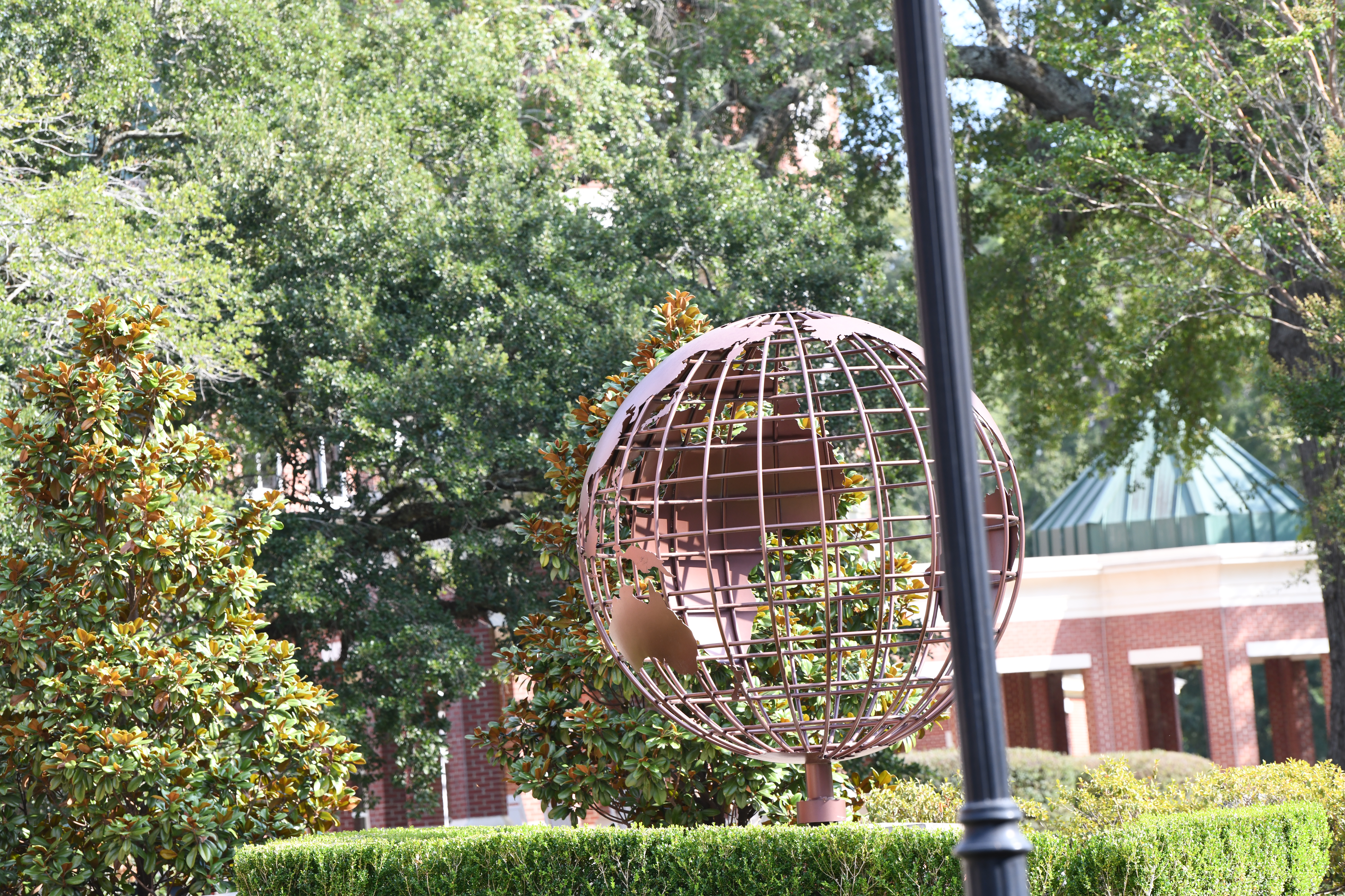 University Spirit - The heart of campus community