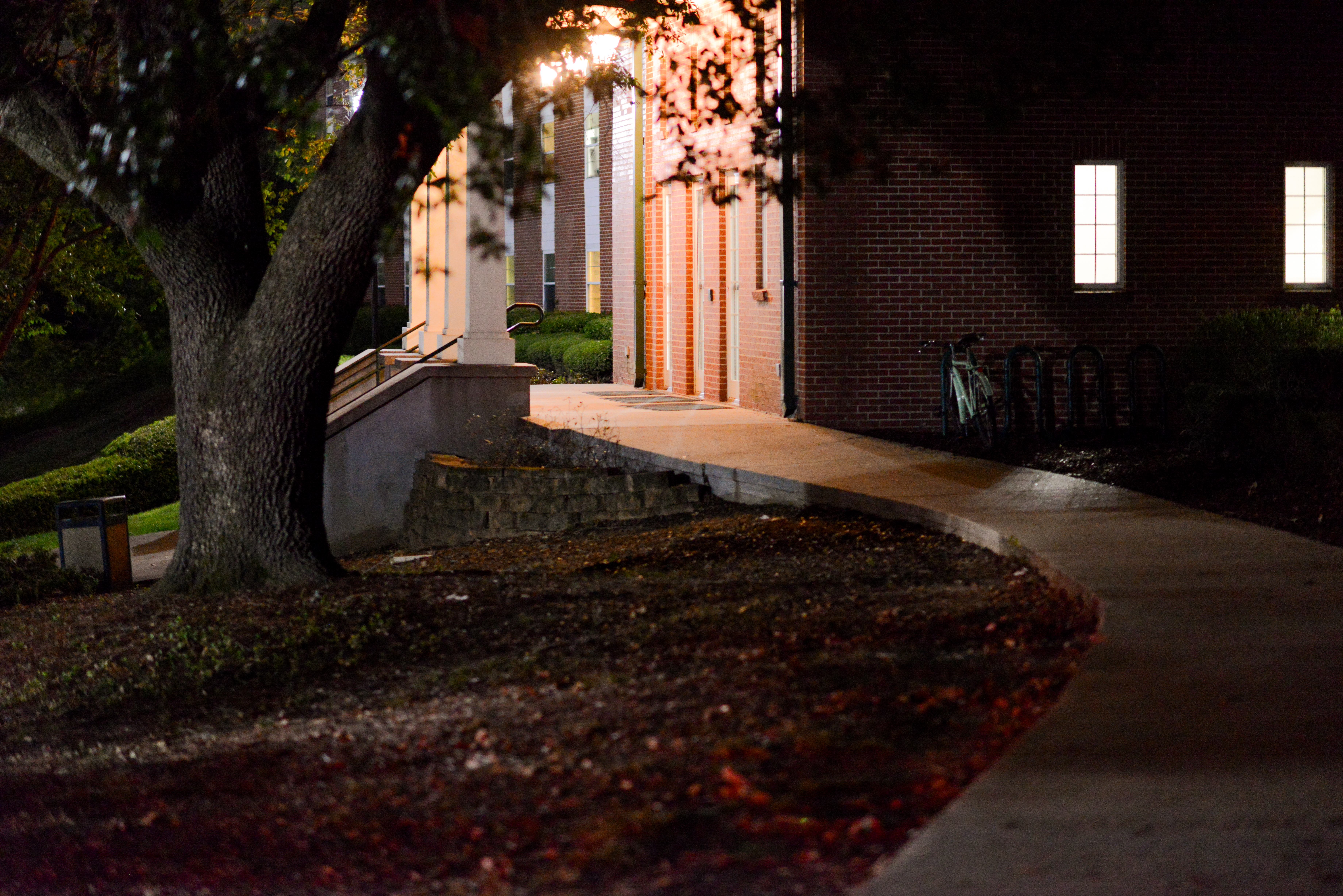 Environmental Portrait - Subject in their natural environment