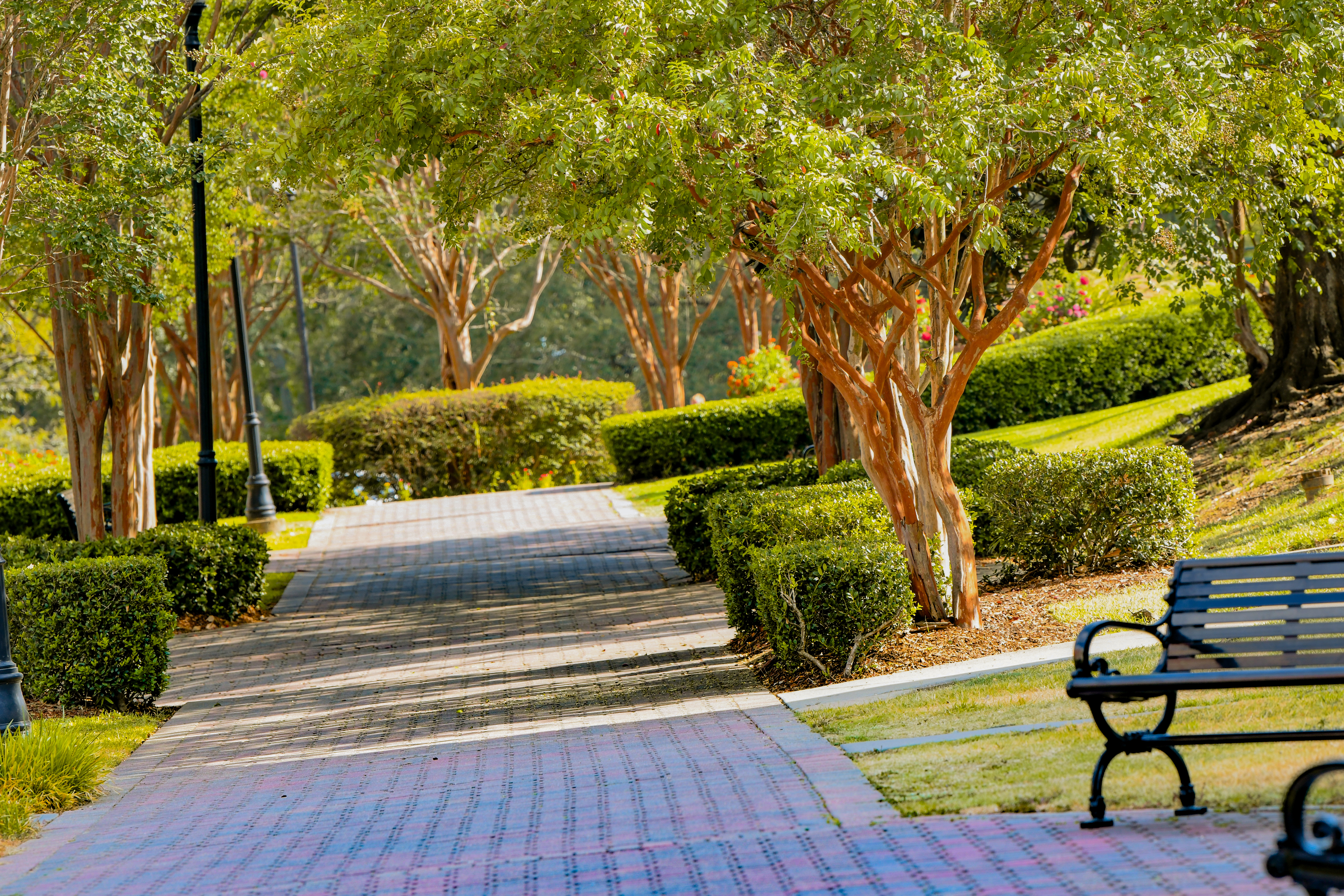 Portrait Photography - Professional portraits highlighting personality